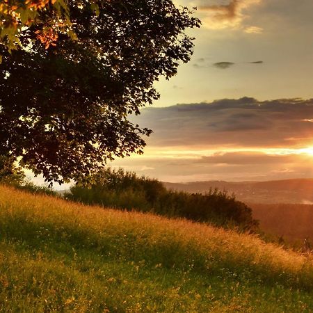 Ferienwohnung Zur Kurstrasse Waldholzbach エクステリア 写真